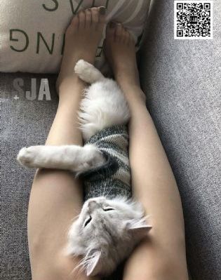 欧美道一区二区三区_BD国语BD在线观看